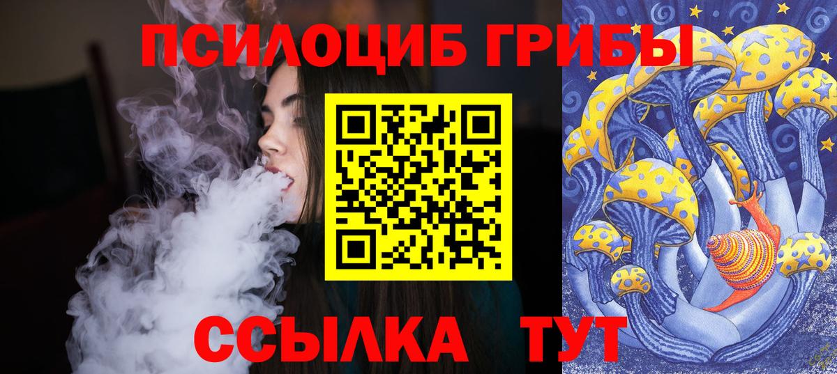 Псилоцибиновые грибы Cubensis  Галлюциногенные грибы MAGIC MUSHROOMS  Скопин  где продают   Вход с VPN 